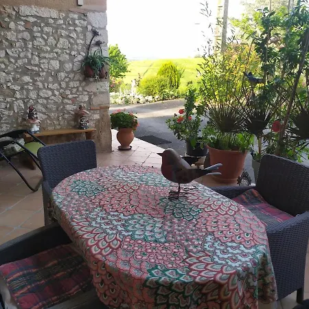 Aupres Des Oiseaux A Montels